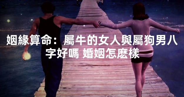 姻緣算命：屬牛的女人與屬狗男八字好嗎 婚姻怎麽樣